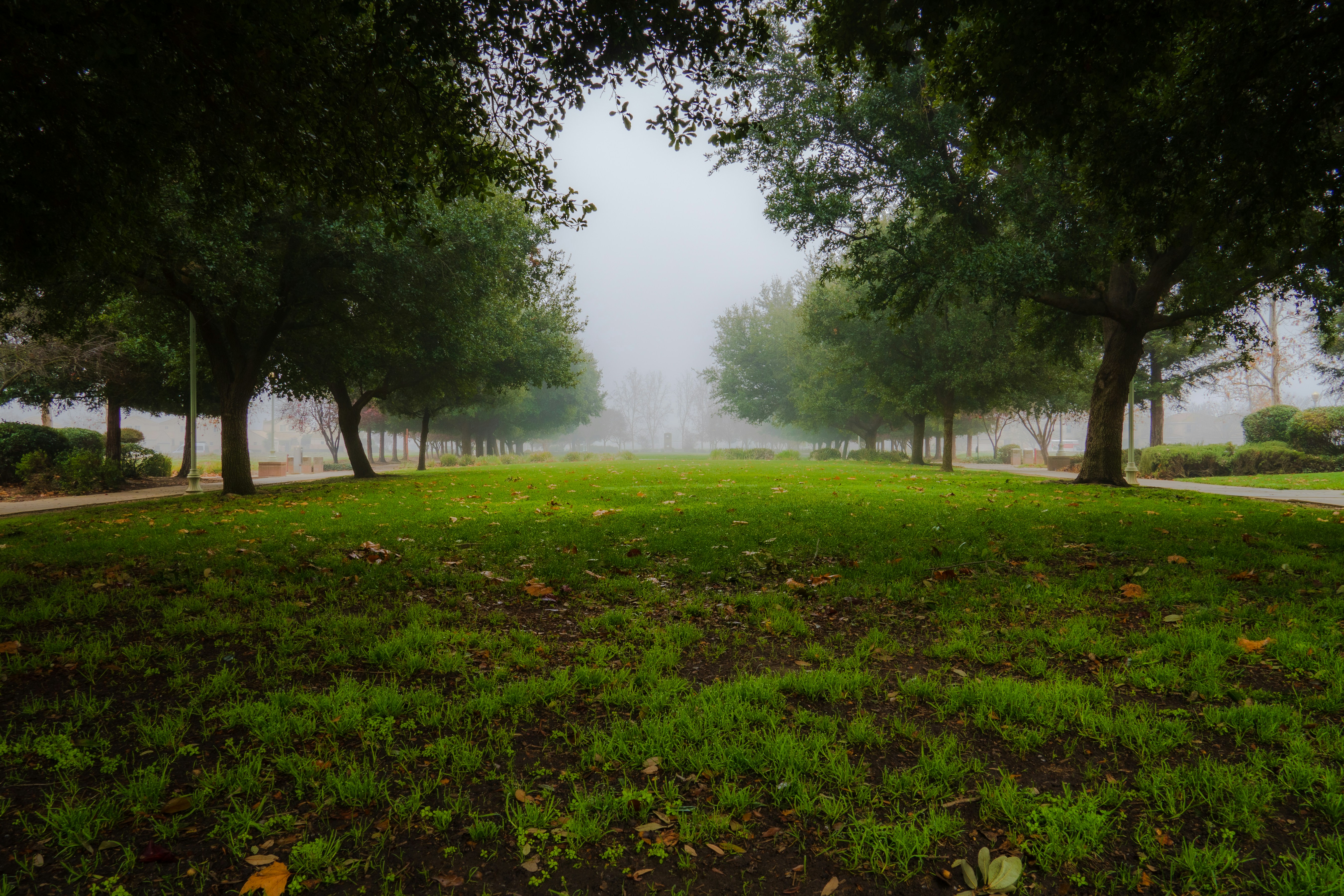 Elk Grove, CA green area