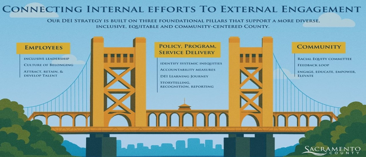 DEI-CabinetStrategicPillars.jpg